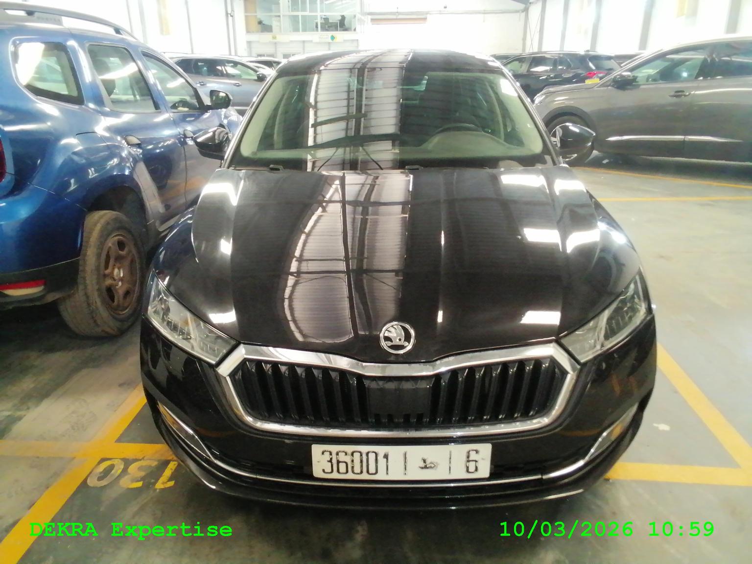 OCTAVIA A8 2,0 TDI 143 BUSI BA