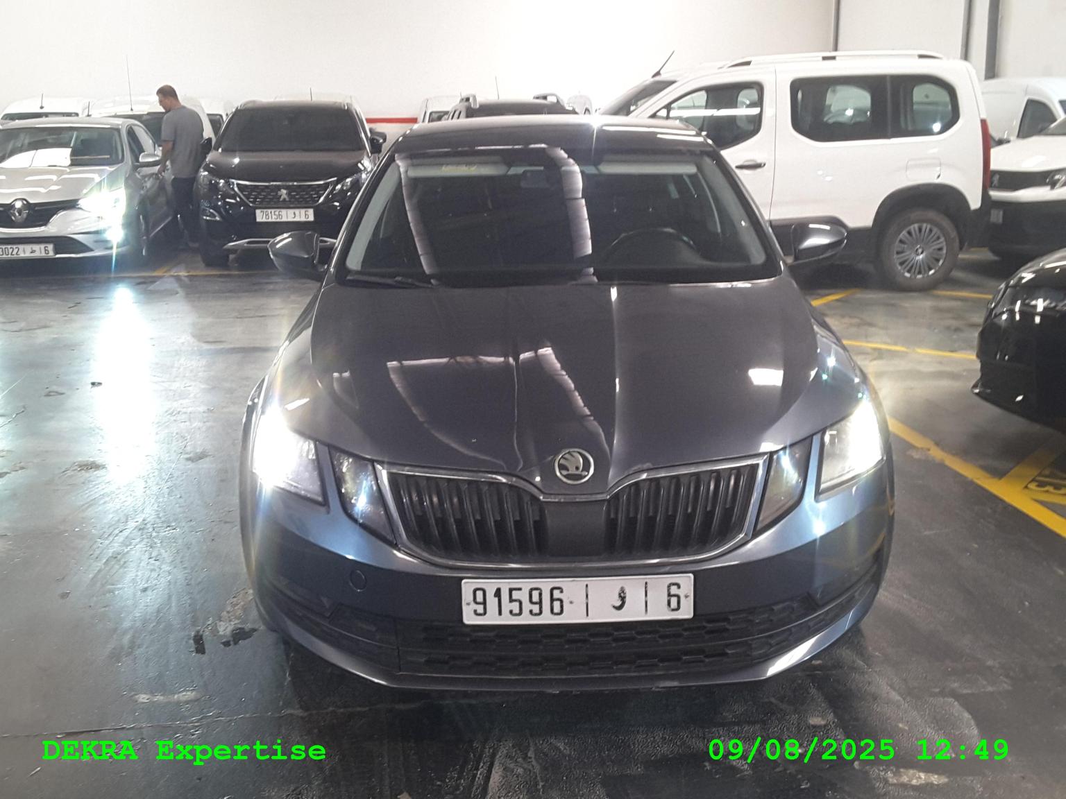 OCTAVIA AMBIANCE PLUS